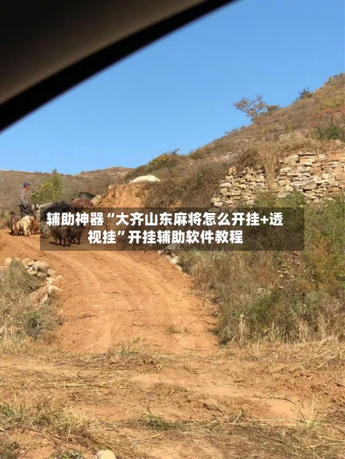 辅助神器“大齐山东麻将怎么开挂+透视挂”开挂辅助软件教程