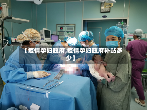 【疫情孕妇政府,疫情孕妇政府补贴多少】