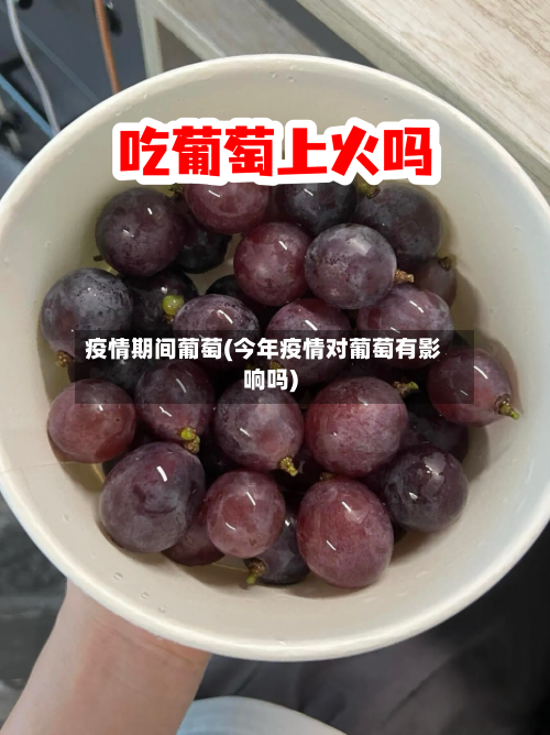 疫情期间葡萄(今年疫情对葡萄有影响吗)-第2张图片