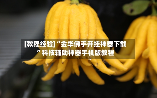 [教程经验]“金华佛手开挂神器下载”科技辅助神器手机版教程-第1张图片