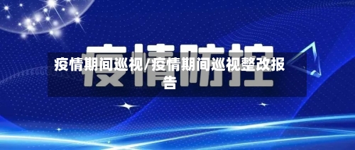 疫情期间巡视/疫情期间巡视整改报告-第1张图片