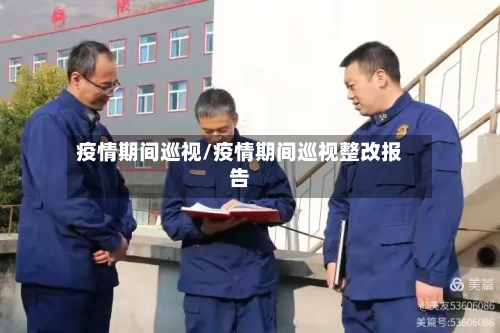 疫情期间巡视/疫情期间巡视整改报告-第2张图片