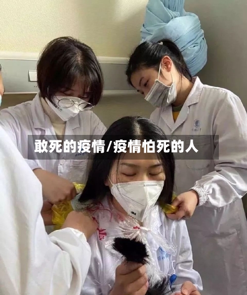 敢死的疫情/疫情怕死的人-第1张图片