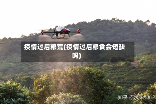 疫情过后粮荒(疫情过后粮食会短缺吗)-第3张图片