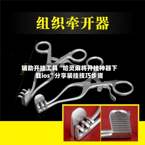 辅助开挂工具“哈灵麻将开挂神器下载ios”分享装挂技巧步骤