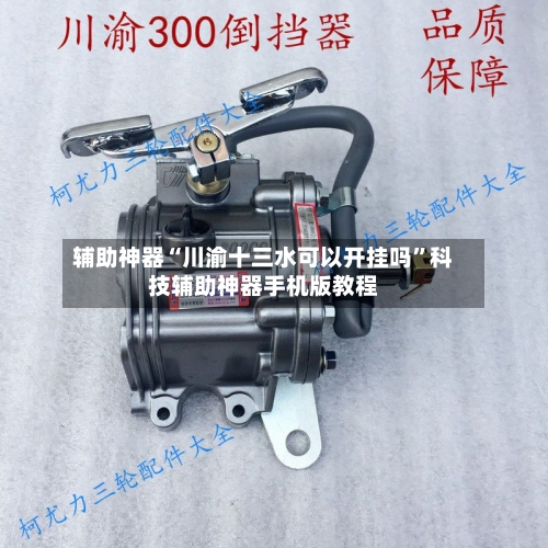 辅助神器“川渝十三水可以开挂吗”科技辅助神器手机版教程