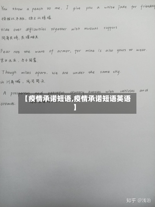 【疫情承诺短语,疫情承诺短语英语】-第1张图片