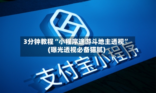 3分钟教程“小程序途游斗地主透视”(曝光透视必备猫腻)
