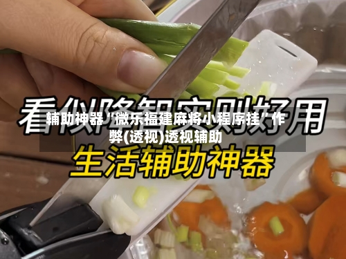 辅助神器“微乐福建麻将小程序挂”作弊(透视)透视辅助