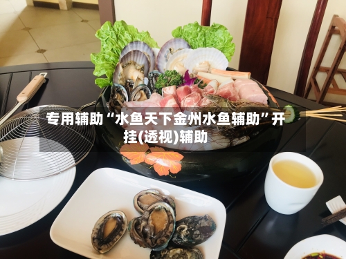 专用辅助“水鱼天下金州水鱼辅助”开挂(透视)辅助-第2张图片