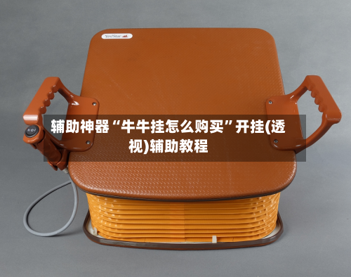 辅助神器“牛牛挂怎么购买”开挂(透视)辅助教程-第2张图片