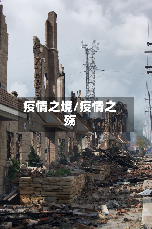 疫情之境/疫情之殇-第2张图片
