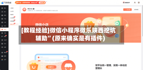 [教程经验]微信小程序微乐陕西挖坑辅助	”(原来确实是有插件)-第1张图片