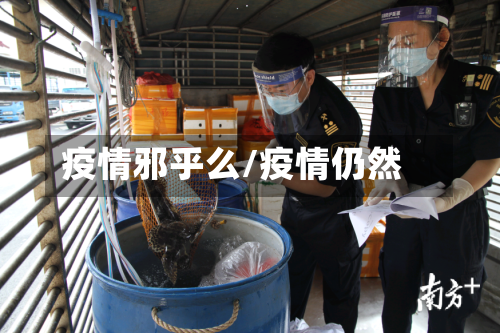 疫情邪乎么/疫情仍然-第1张图片