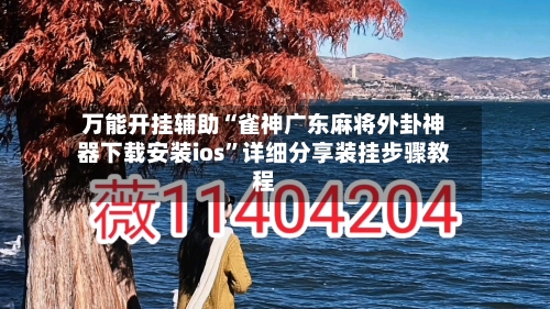万能开挂辅助“雀神广东麻将外卦神器下载安装ios	”详细分享装挂步骤教程-第2张图片