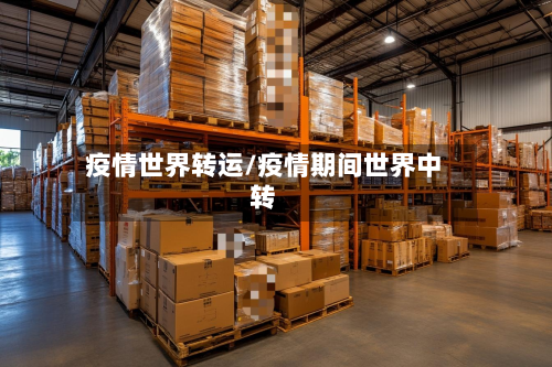 疫情世界转运/疫情期间世界中转-第2张图片