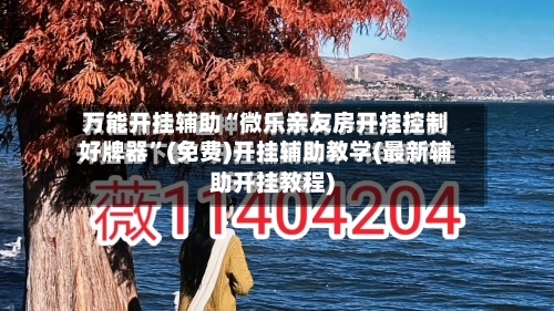 万能开挂辅助“微乐亲友房开挂控制好牌器	”(免费)开挂辅助教学(最新辅助开挂教程)-第2张图片
