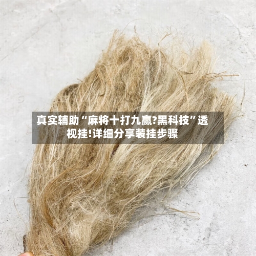 真实辅助“麻将十打九赢?黑科技”透视挂!详细分享装挂步骤-第2张图片