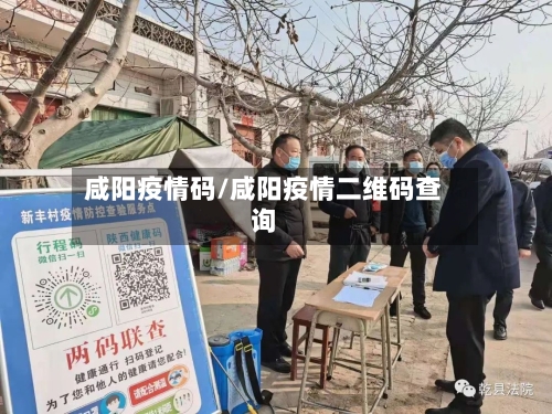 咸阳疫情码/咸阳疫情二维码查询-第3张图片