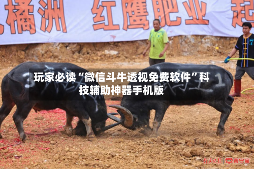 玩家必读“微信斗牛透视免费软件”科技辅助神器手机版-第2张图片