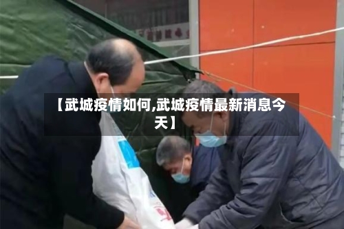 【武城疫情如何,武城疫情最新消息今天】-第2张图片