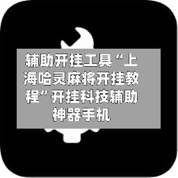 辅助开挂工具“上海哈灵麻将开挂教程”开挂科技辅助神器手机-第2张图片
