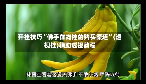 开挂技巧“佛手在线挂的购买渠道”(透视挂)辅助透视教程-第2张图片