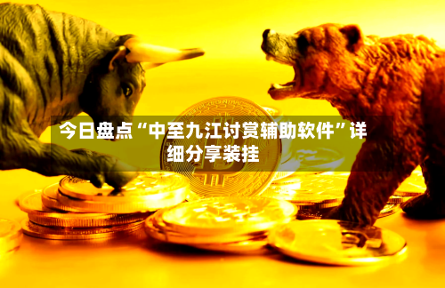 今日盘点“中至九江讨赏辅助软件”详细分享装挂-第1张图片