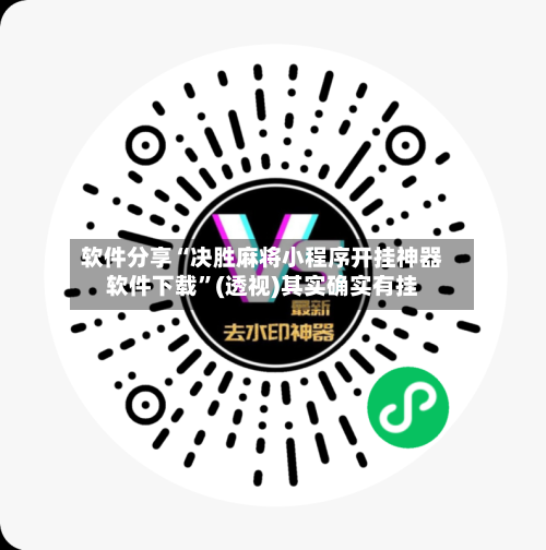 软件分享“决胜麻将小程序开挂神器软件下载”(透视)其实确实有挂-第3张图片