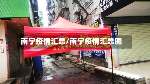 南宁疫情汇总/南宁疫情汇总图-第2张图片