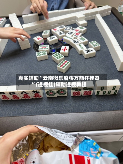 真实辅助“云南微乐麻将万能开挂器”(透视挂)辅助透视教程-第2张图片