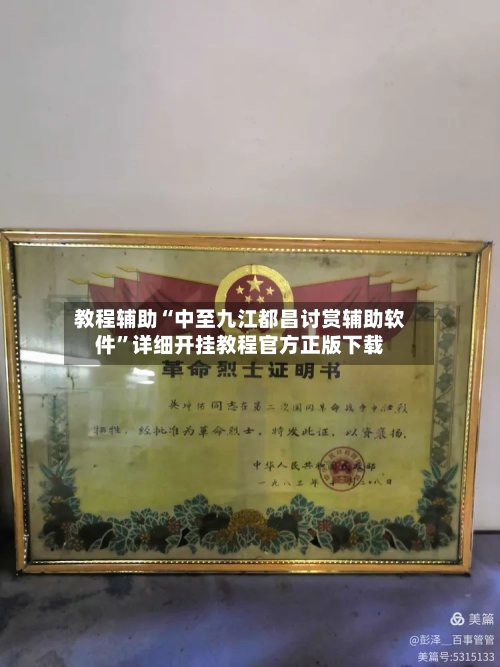 教程辅助“中至九江都昌讨赏辅助软件”详细开挂教程官方正版下载-第3张图片