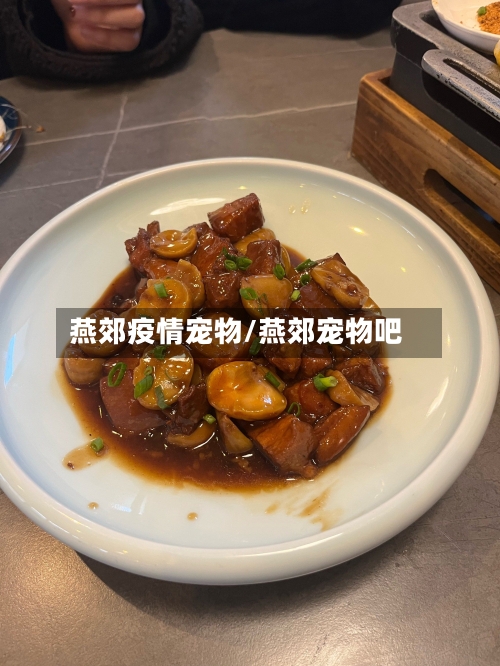 燕郊疫情宠物/燕郊宠物吧-第2张图片