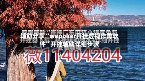 辅助分享“wepoker开挂透视作弊软件”开挂辅助详细步骤-第1张图片