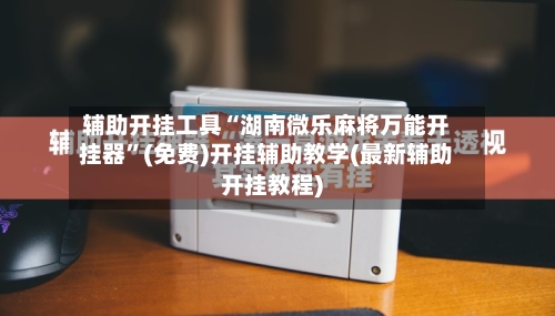 辅助开挂工具“湖南微乐麻将万能开挂器”(免费)开挂辅助教学(最新辅助开挂教程)-第3张图片