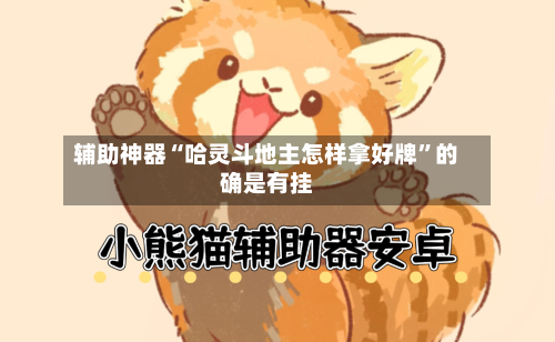 辅助神器“哈灵斗地主怎样拿好牌	”的确是有挂-第3张图片