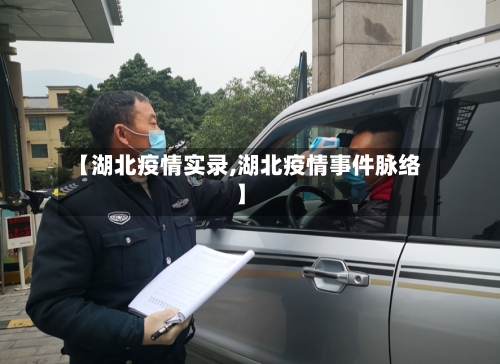 【湖北疫情实录,湖北疫情事件脉络】-第3张图片