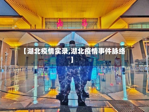 【湖北疫情实录,湖北疫情事件脉络】-第2张图片