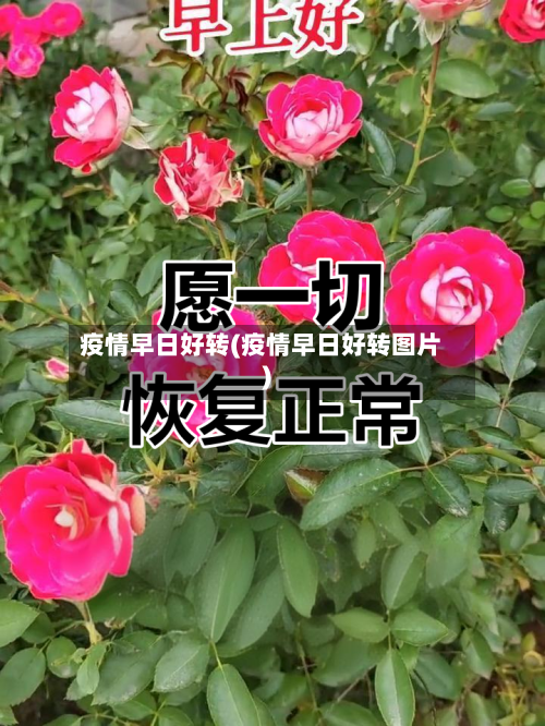 疫情早日好转(疫情早日好转图片)-第2张图片