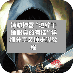 辅助神器“边锋干瞪眼真的有挂	”详细分享装挂步骤教程-第2张图片