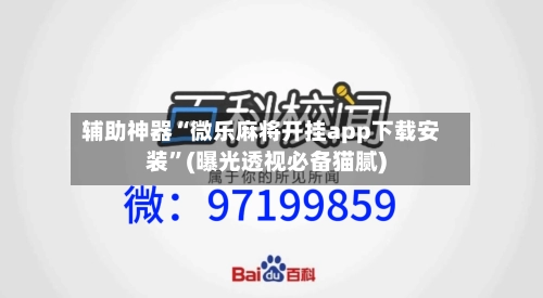 辅助神器“微乐麻将开挂app下载安装”(曝光透视必备猫腻)-第3张图片