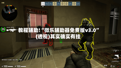 教程辅助!“微乐辅助器免费版v3.0”(透视)其实确实有挂-第3张图片