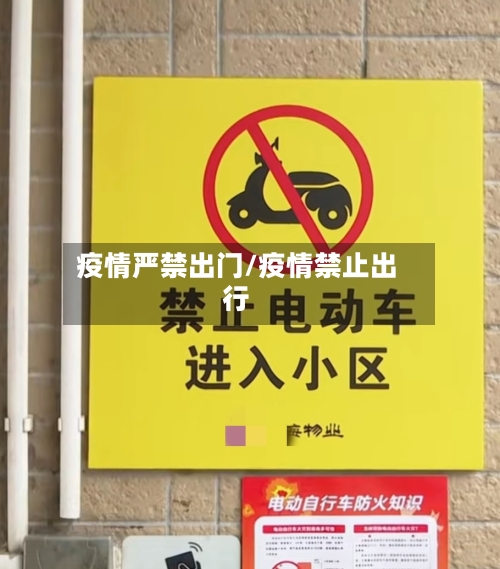 疫情严禁出门/疫情禁止出行-第2张图片