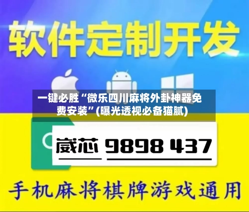 一键必胜“微乐四川麻将外卦神器免费安装	”(曝光透视必备猫腻)-第3张图片