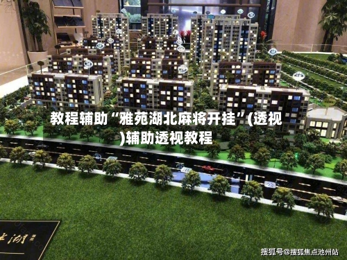 教程辅助“雅苑湖北麻将开挂	”(透视)辅助透视教程-第3张图片