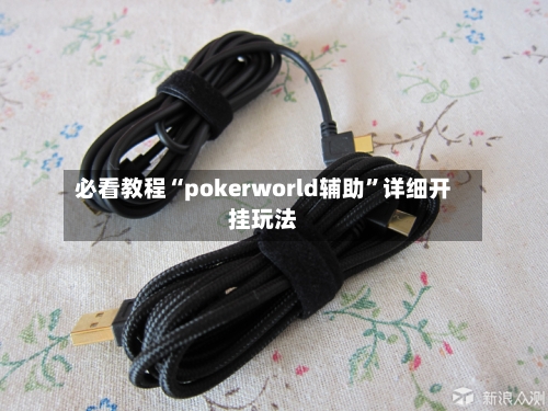 必看教程“pokerworld辅助”详细开挂玩法-第3张图片