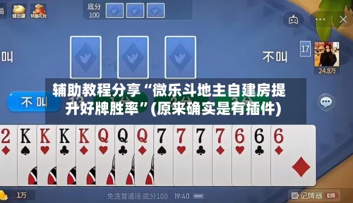 辅助教程分享“微乐斗地主自建房提升好牌胜率”(原来确实是有插件)-第2张图片