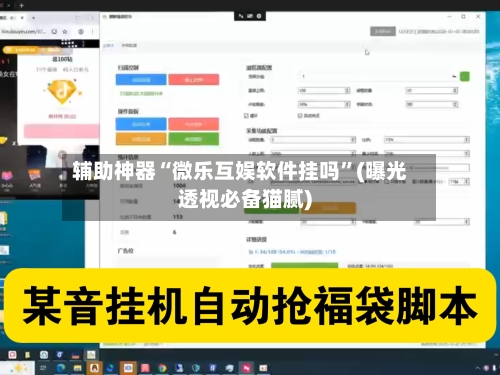 辅助神器“微乐互娱软件挂吗”(曝光透视必备猫腻)-第3张图片