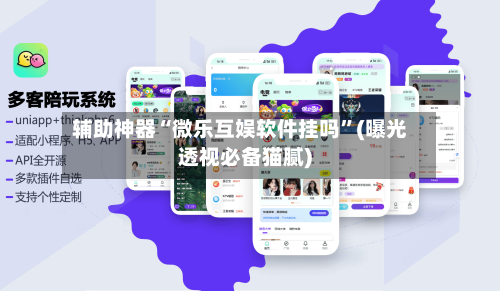 辅助神器“微乐互娱软件挂吗”(曝光透视必备猫腻)-第2张图片