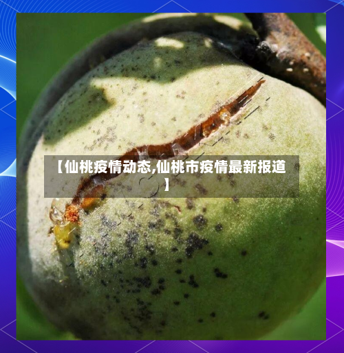 【仙桃疫情动态,仙桃市疫情最新报道】-第2张图片